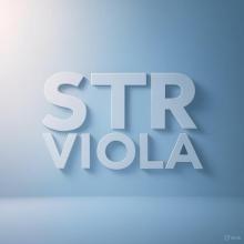 Profile picture for user strviola
