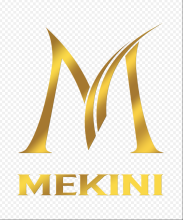 Profile picture for user MEKINI