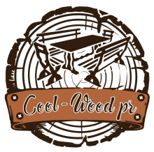 Profile picture for user Cool-Wood pr